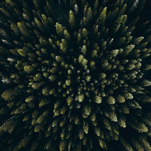  آدم سیبو نچید از حوا فریب خورد یکی حرف می زنه تو فقط تایید کن